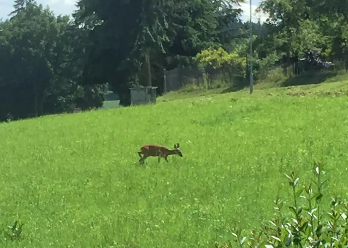 Gospodarstwo agroturystyczne Dolpo 5 *